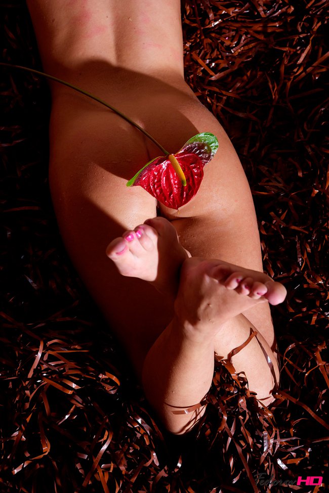 Эротические фото девушки с цветком
