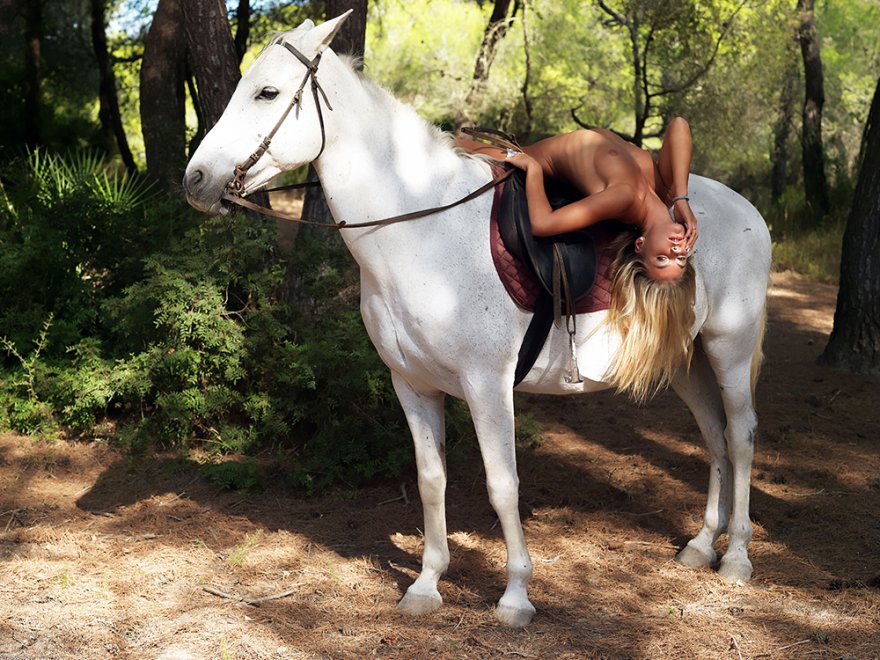 Блондинка на белом коне